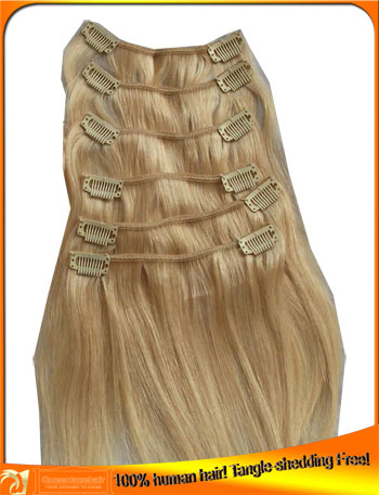 Brazilian Clip-in Hair Extensions,Hair Factory Price