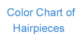 Human Hair Color Chart for Lace Closure Hair Pieces