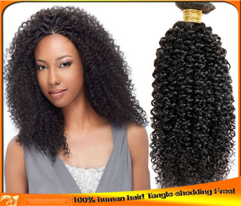 Buy Afro Curl Indian Human Hair Weawe Online from Our Site,Factory Best Price