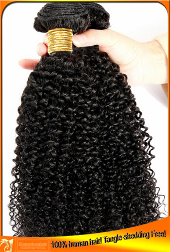 Buy Afro Curl Indian Human Hair Weawe Online from Our Site,Factory Best Price